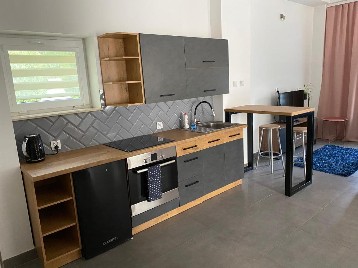 Apartamenty Pod Wierzbami Dwikozy Kültér fotó