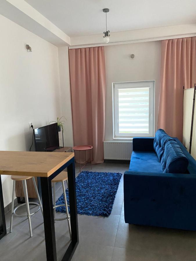 Apartamenty Pod Wierzbami Dwikozy Kültér fotó