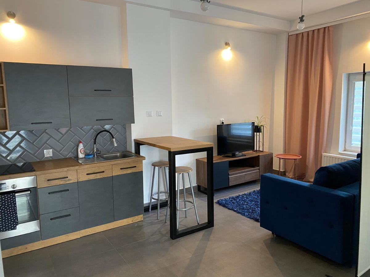 Apartamenty Pod Wierzbami Dwikozy Kültér fotó